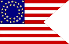 United States Cavalry guidon.