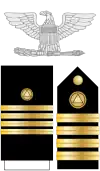 The eagle, shoulder boards, and sleeve stripes (dress blues + female dress whites) of a NOAA Corps captain