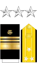 The stars, shoulder boards, and sleeve stripes of the surgeon general
