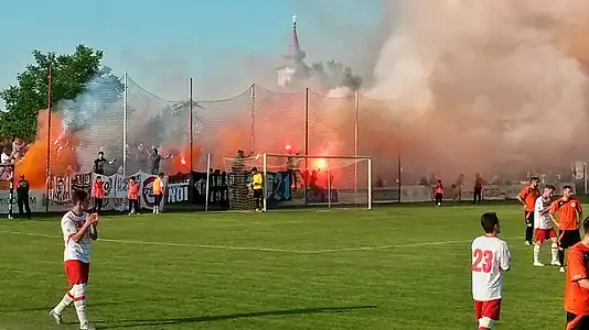 UTA Arad fans on Motorul stadium