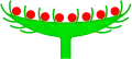 Diagram of a flower head. Note bracts surrounding the flowers, which would be absent on a capitulum.