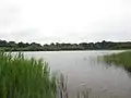 Uddelermeer
