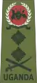 General(Ugandan Land Forces)