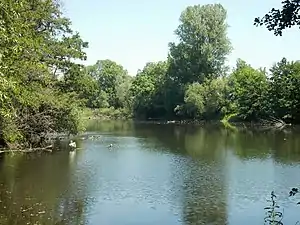 A river flows through a flat landscape; trees and grasslands border the river.