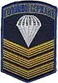 Sleeve patch for chief sergeant of the 25th Airborne Brigade (ver. 1)