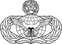 USAF Master Force Protection Badge