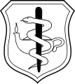 Nurse Corps Badge