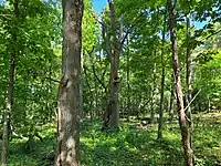 Nest box at the University of Wisconsin–Madison Arboretum