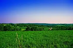 Rolling hills in Upper Mount Bethel Township in July 2006