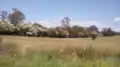 Landscape of Upper Rollands Plains New South Wales.