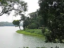 Upper Seletar Reservoir in the foreground with trees along the shoreline on the right