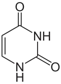 Chemical structure of uracil