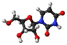 Ball-and-stick model of the uridine molecule