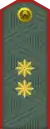 General-leytenant(Uzbek Ground Forces)