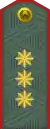 General-polkovnik(Uzbek Ground Forces)