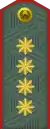 Armiya generali(Uzbek Ground Forces)