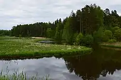 The Võhandu river in Nulga