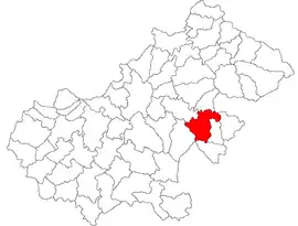 Location in Satu Mare County