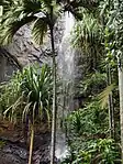 A picture of a waterfall obstructed by a couple of palm trees.