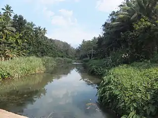 Vamanapuram river that flows through Vithura