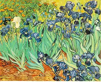 Vincent van Gogh:  Irises, J. Paul Getty Museum, Los Angeles