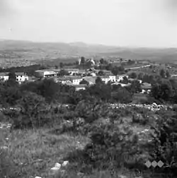 Skadanščina in 1955