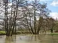 Flood at the south of the Bazouge-de-Chemeré on February 28, 2010