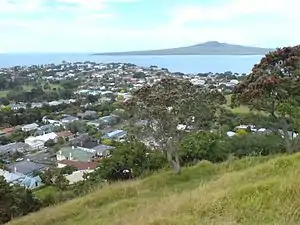 Looking east from Mount Victoria towards Rangitoto Island.
