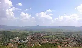 View of Bozovici