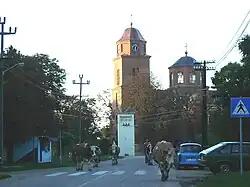 A street in the village, the Orthodox church, and the typical motif from Vojvodinian villages: cows going home after daily pasture.