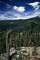 Huntington Lake, shot on 35mm Velvia 50