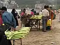 Corn cob vendors on Girgaon Chowpatty