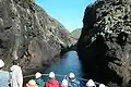 Boat trip to Vestmannabjørgini (Cliffs of Vestmanna).