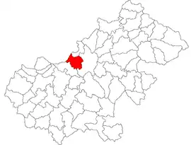 Location in Satu Mare County