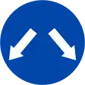 302c: May pass on the left or right side