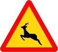 231: Wild animals crossing