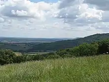 Duncton to Bignor Escarpment