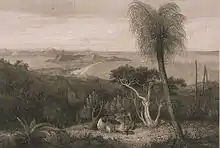 View of the south side of King George's Sound by William Westall contains the earliest known image of a Kingia.