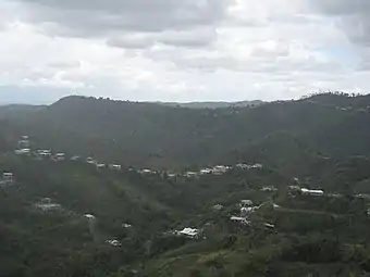 View of Barrio Gato from a lookout on PR-155