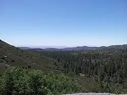 Forest view near the town of Mount Laguna