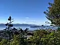 View of Miramar Peninsula from Mt Kaukau track