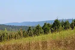 Orange Township looking southeast towards Knob Mountain