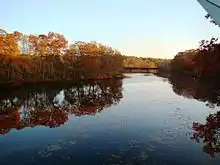 Quinebaug River from Butts Bridge