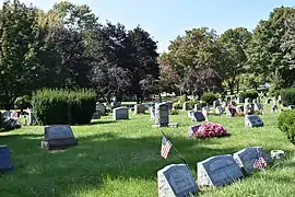 View of graves located in the Liverpool Cemetery