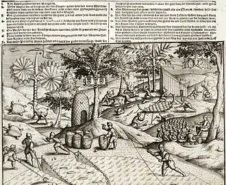 Engraving showing Dutch sailors working on Mauritius, as well as several local animals, including a dodo