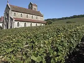 The church in Leuvrigny