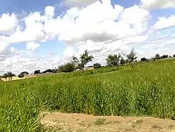 Fields in Sherikhel village