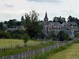 The church and surrounding buildings in Condom-d'Aubrac