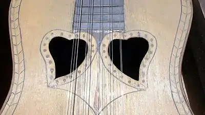 A close-up, showing the string arrangement and sound-holes of the Viola da terra