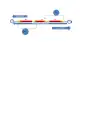 Some base pairs with serve a dual function with promoter and operator for either cl and cro proteins.